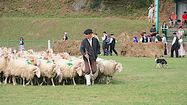 AUTOUR DES CHIENS - La remarquable Fête des Bergers à Aramits